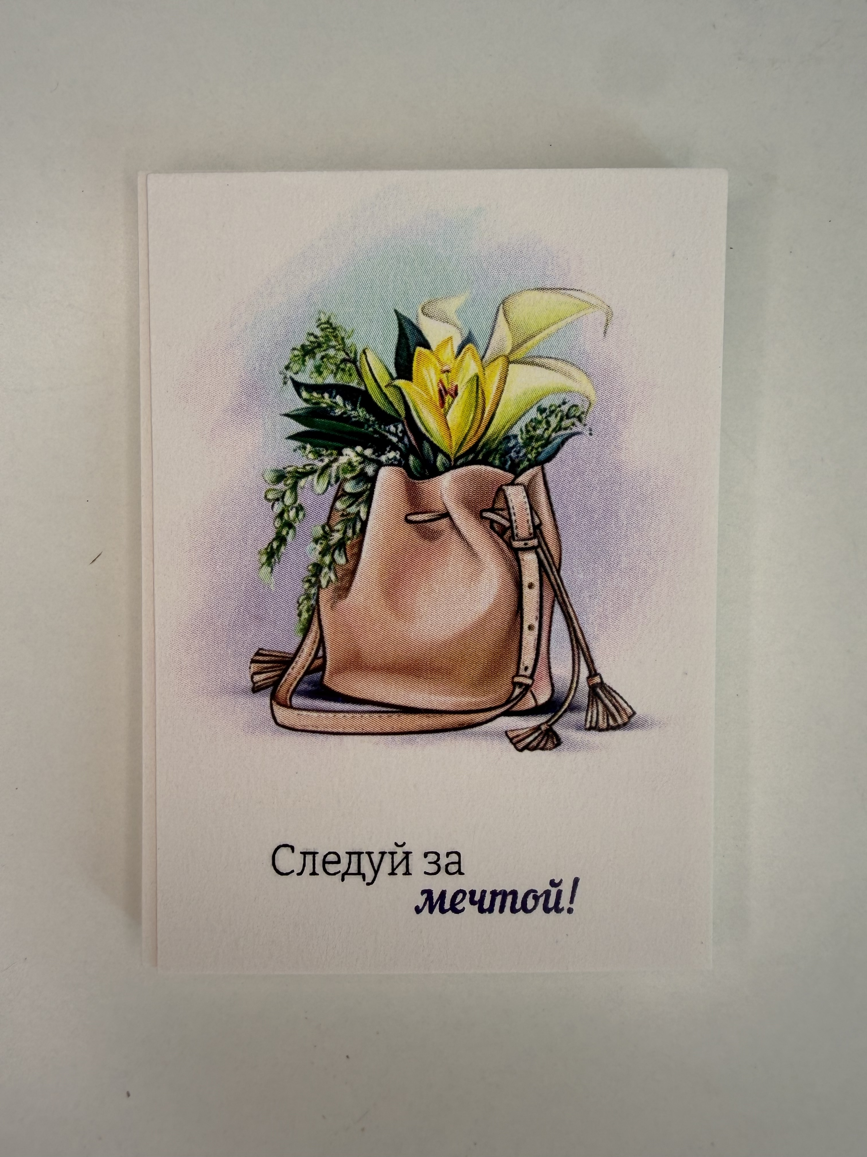 Следуй за мечтой!